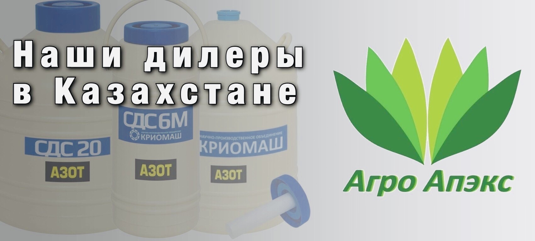 about-header